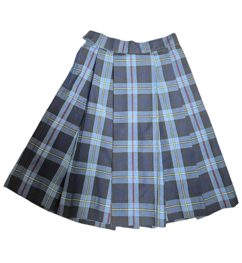 FALDA COLEGIO VICTORIANO CHACÓN